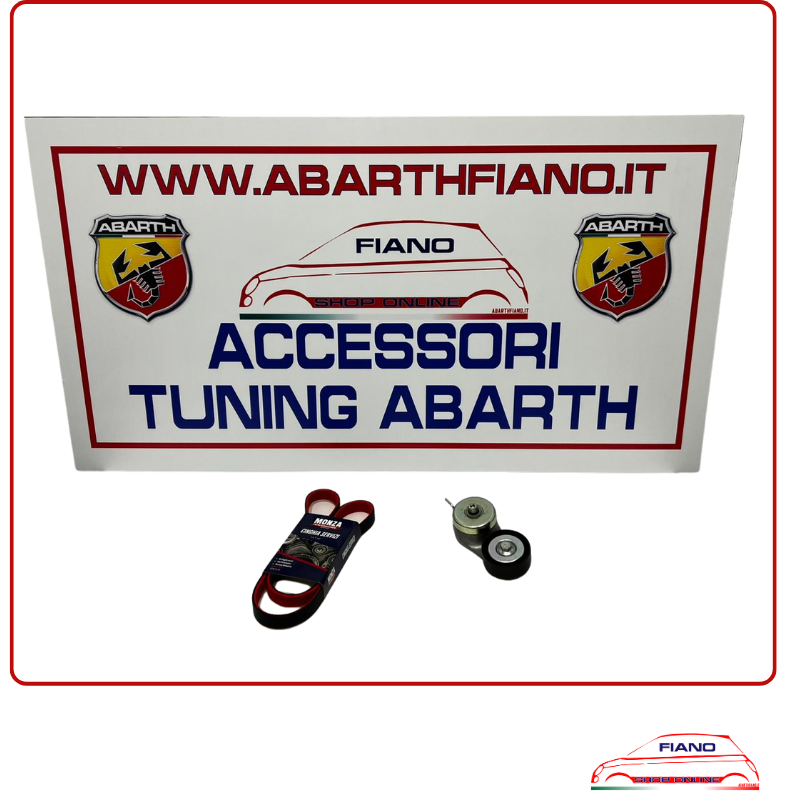 Kit cinghia servizi e tendicinghia